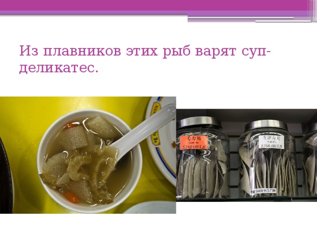 Из плавников этих рыб варят суп-деликатес. 