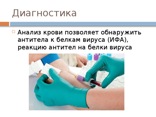 Диагностика Анализ крови позволяет обнаружить антитела к белкам вируса (ИФА), реакцию антител на белки вируса 