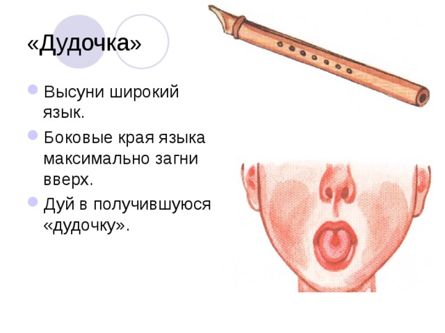 «Дудочка» Высуни широкий язык. Боковые края языка максимально загни вверх. Дуй в получившуюся «дудочку». 