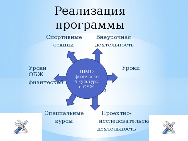 Реализация программы  Спортивные Внеурочная  секции деятельность Уроки Уроки ОБЖ физической Культуры  Специальные Проектно-  курсы исследовательская  деятельность ШМО физической культуры и ОБЖ 