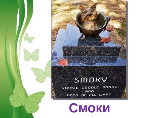 Смоки Free Powerpoint Templates 