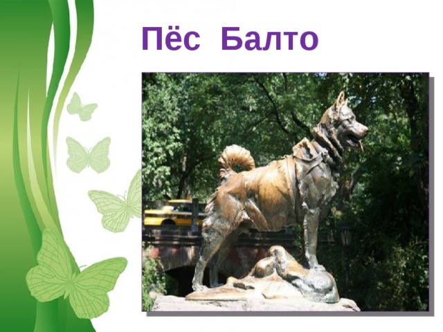  Пёс Балто Free Powerpoint Templates 