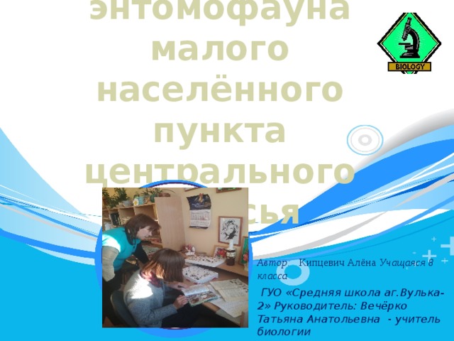 Синантропная энтомофауна малого населённого пункта центрального Полесья Автор: Кипцевич Алёна Учащаяся 8 класса  ГУО «Средняя школа аг.Вулька-2» Руководитель: Вечёрко Татьяна Анатольевна - учитель биологии  