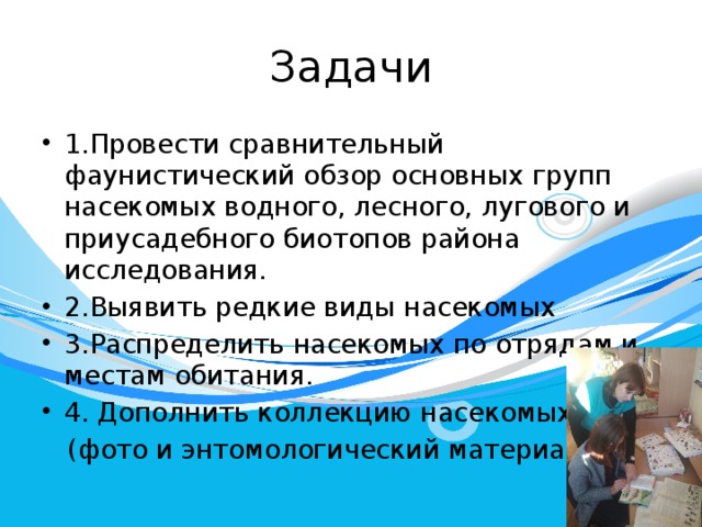Задачи 1.Провести сравнительный фаунистический обзор основных групп насекомых водного, лесного, лугового и приусадебного биотопов района исследования. 2.Выявить редкие виды насекомых 3.Распределить насекомых по отрядам и местам обитания. 4. Дополнить коллекцию насекомых  (фото и энтомологический материал). 