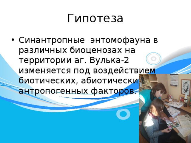 Гипотеза Синантропные энтомофауна в различных биоценозах на территории аг. Вулька-2 изменяется под воздействием биотических, абиотических и антропогенных факторов. 