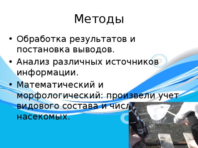 Методы Обработка результатов и постановка выводов. Анализ различных источников информации. Математический и морфологический: произвели учет видового состава и численности насекомых. 