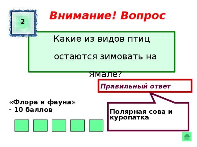  Полярная сова и куропатка  Внимание! Вопрос 2 Какие из видов птиц остаются зимовать на Ямале? Правильный ответ «Флора и фауна» - 10 баллов  
