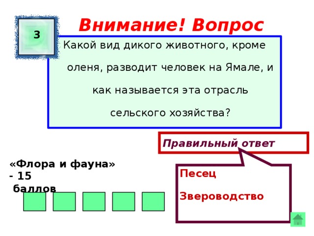 Песец Звероводство Внимание! Вопрос 3 Какой вид дикого животного, кроме оленя, разводит человек на Ямале, и как называется эта отрасль сельского хозяйства? Правильный ответ «Флора и фауна» - 15  баллов  
