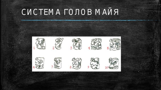 СИСТЕМА ГОЛОВ МАЙЯ  