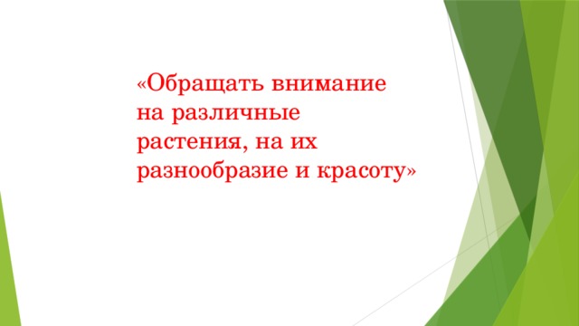 «Обращать внимание на различные растения, на их разнообразие и красоту» 