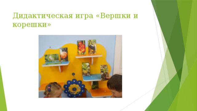 Дидактическая игра «Вершки и корешки» 