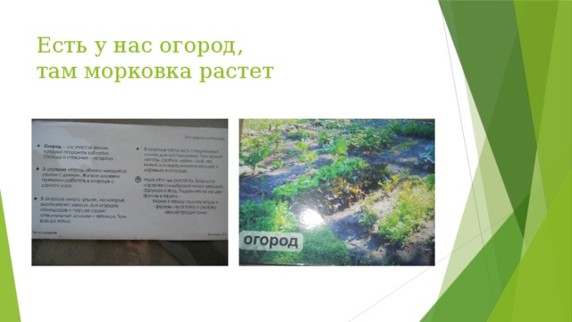 Есть у нас огород,  там морковка растет 