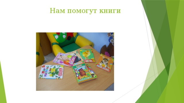 Нам помогут книги 
