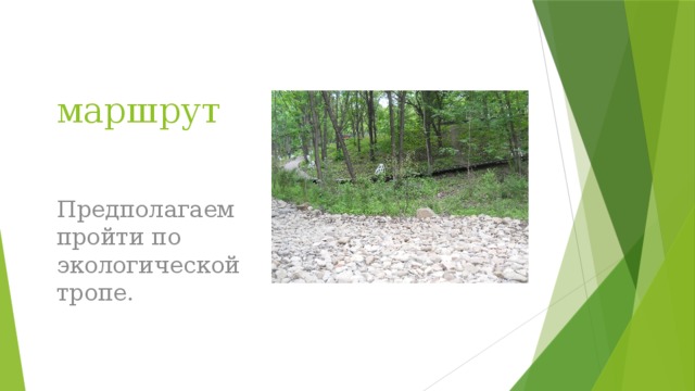 маршрут Предполагаем пройти по экологической тропе. 