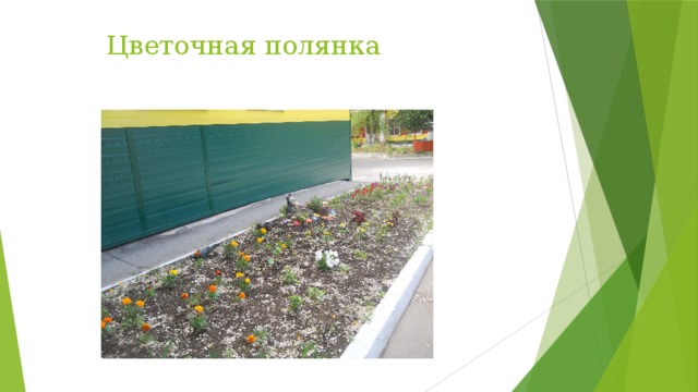 Цветочная полянка 