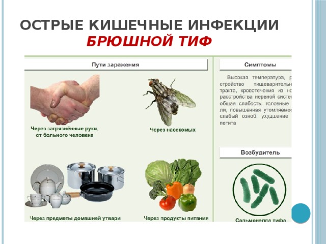 Острые кишечные инфекции  Брюшной тиф 