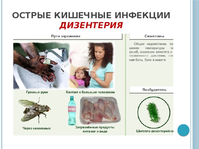 Острые кишечные инфекции  Дизентерия 