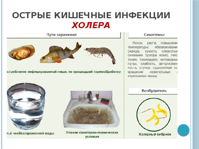 Острые кишечные инфекции  Холера 