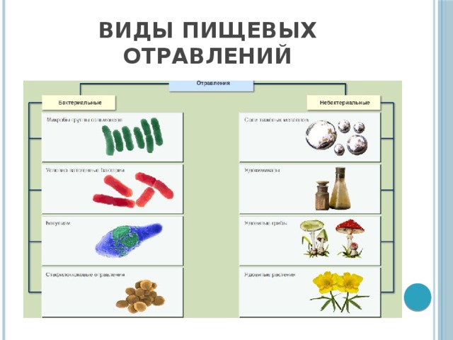 Виды пищевых отравлений 