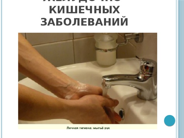 Профилактика инфекционных желудочно-кишечных заболеваний 