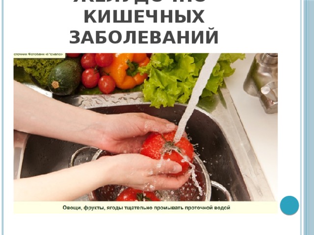 Профилактика инфекционных желудочно-кишечных заболеваний 
