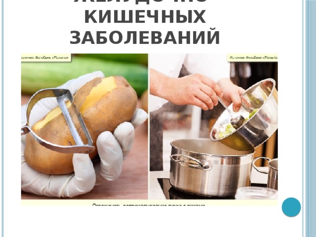Профилактика инфекционных желудочно-кишечных заболеваний 