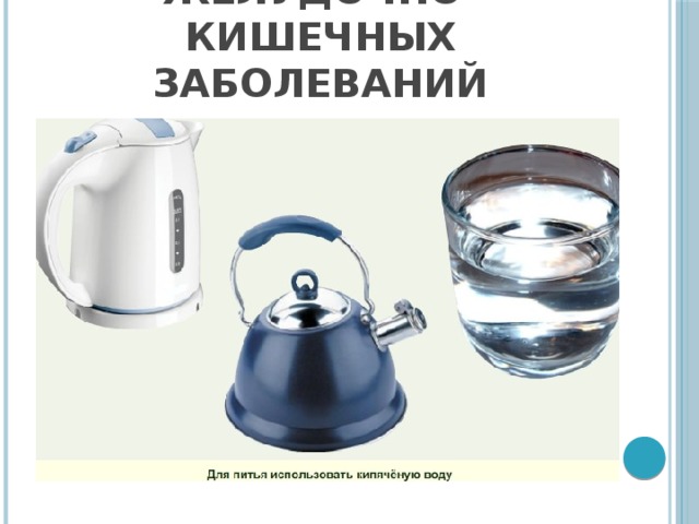 Профилактика инфекционных желудочно-кишечных заболеваний 