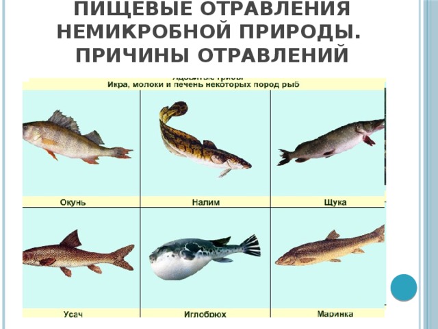 Пищевые отравления немикробной природы.  Причины отравлений 