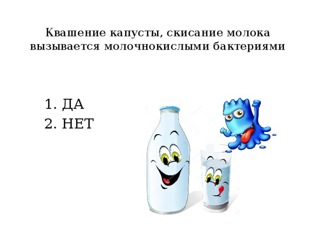 Квашение капусты, скисание молока вызывается молочнокислыми бактериями ДА НЕТ 