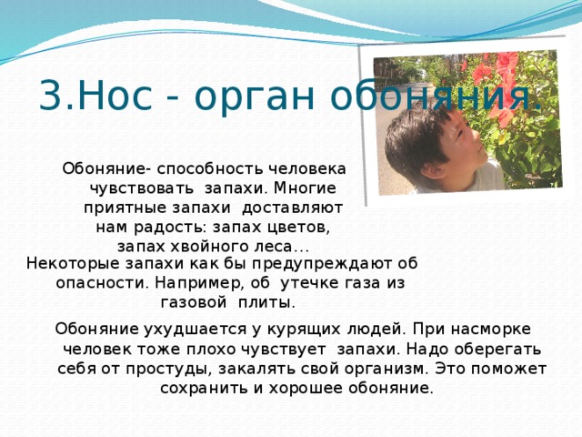 3.Нос - орган обоняния. Обоняние- способность человека чувствовать запахи. Многие приятные запахи доставляют нам радость: запах цветов, запах хвойного леса… Некоторые запахи как бы предупреждают об опасности. Например, об утечке газа из газовой плиты. Обоняние ухудшается у курящих людей. При насморке человек тоже плохо чувствует запахи. Надо оберегать себя от простуды, закалять свой организм. Это поможет сохранить и хорошее обоняние. 