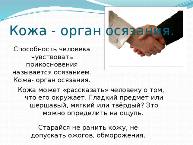 Кожа - орган осязания. Способность человека чувствовать прикосновения называется осязанием. Кожа- орган осязания. Кожа может «рассказать» человеку о том, что его окружает. Гладкий предмет или шершавый, мягкий или твёрдый? Это можно определить на ощупь. Старайся не ранить кожу, не допускать ожогов, обморожения. 