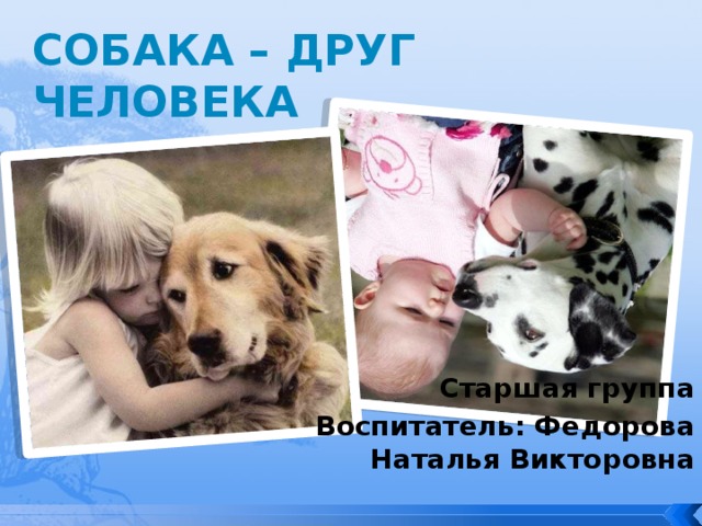СОБАКА – ДРУГ ЧЕЛОВЕКА Старшая группа Воспитатель: Федорова Наталья Викторовна  