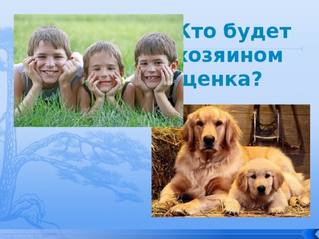 Кто будет хозяином щенка? 
