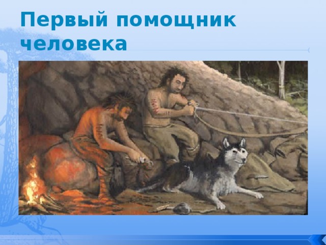 Первый помощник человека 