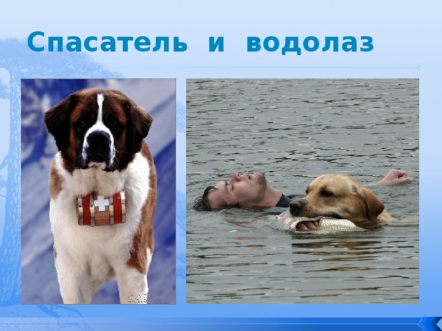 Спасатель и водолаз 