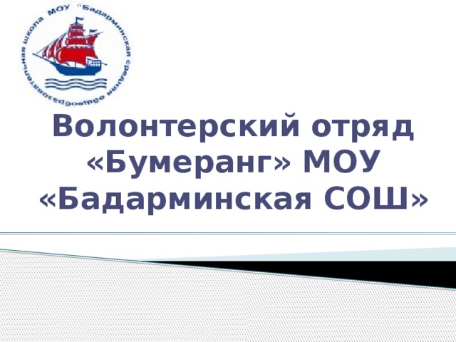 Волонтерский отряд «Бумеранг» МОУ «Бадарминская СОШ» 