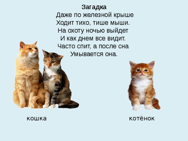 Загадка   Даже по железной крыше  Ходит тихо, тише мыши.  На охоту ночью выйдет  И как днем все видит.  Часто спит, а после сна  Умывается она.  кошка котёнок 