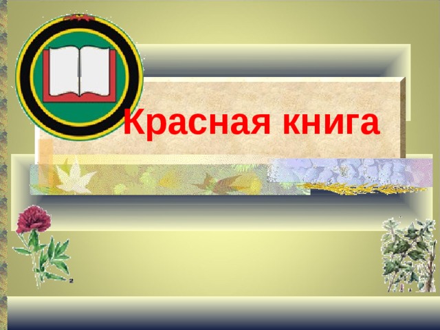 Красная книга 