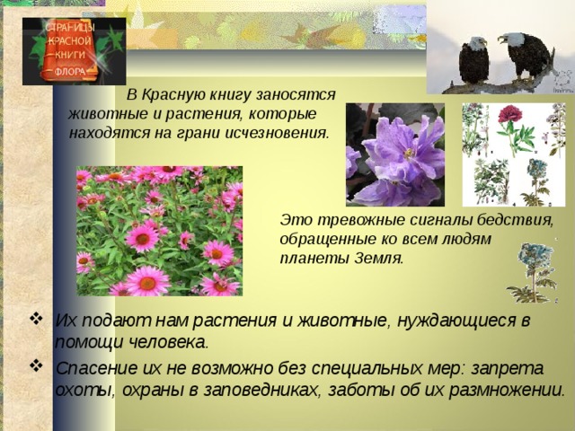  В Красную книгу заносятся животные и растения, которые находятся на грани исчезновения. Это тревожные сигналы бедствия, обращенные ко всем людям планеты Земля.  Их подают нам растения и животные, нуждающиеся в помощи человека. Спасение их не возможно без специальных мер: запрета охоты, охраны в заповедниках, заботы об их размножении.  