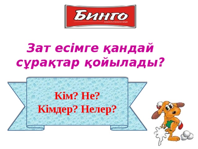 Зат есімге қандай сұрақтар қойылады? Кім? Не? Кімдер? Нелер? 