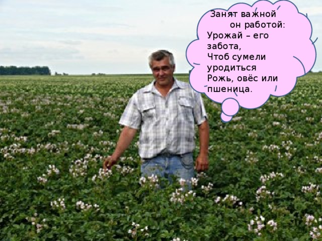  Занят важной он работой: Урожай – его забота, Чтоб сумели уродиться Рожь, овёс или пшеница.     