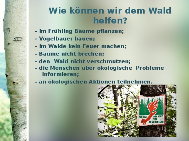 Wie können wir dem Wald helfen ? - im Frühling B ӓ ume pflanzen ; - Vögelbauer bauen ; - im Walde kein Feuer machen ; - B ӓ ume nicht brechen ; - den Wald nicht verschmutzen; - die Menschen über ökologische Probleme informieren; - an ökologischen Aktionen teilnehmen. 