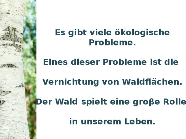 Es gibt viele ökologische Probleme.    Eines dieser Probleme ist die   Vernichtung von Waldfl ӓ chen.   Der Wald spielt eine gro β e Rolle   in unserem Leben.  