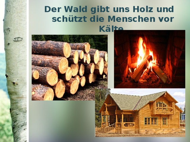 Der Wald gibt uns Holz und schützt die Menschen vor K ӓ lte. 