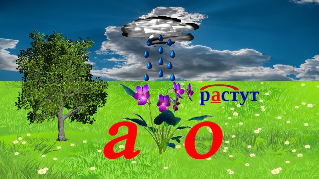 р а стут 