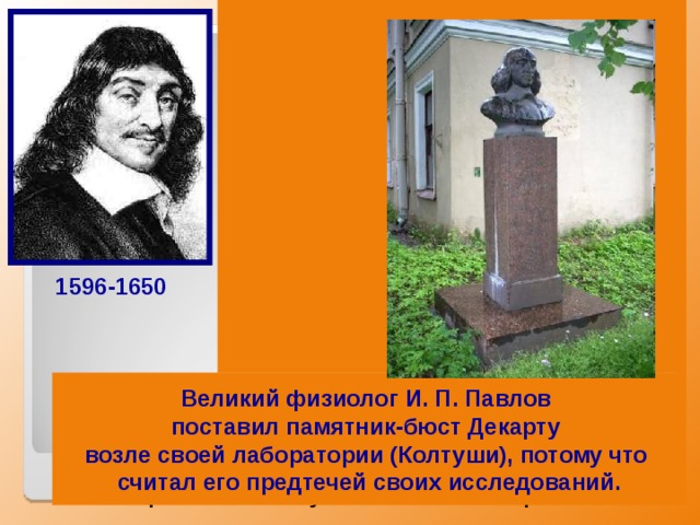 Декарт далеко не сразу нашел свое  место в жизни. Дворянин по  происхождению, окончив коллеж  в Ла-Флеше, он с головой окунается  в светскую жизнь Парижа, затем  бросает все ради занятий наукой.   Декарт отводил математике особое  место в своей системе, он считал ее  принципы установления истины  образцом для других наук. Главное  достижение Декарта-построение  аналитической геометрии, в которой  геометрические задачи переводились  на язык алгебры при помощи метода координат. Он сформулировал основную теорему алгебры: «число корней алгебраического уравнения равно его степени», доказательство которой было получено лишь в конце XVIII в. 1596-1650 Великий физиолог И. П. Павлов поставил памятник-бюст Декарту возле своей лаборатории (Колтуши), потому что считал его предтечей своих исследований. 