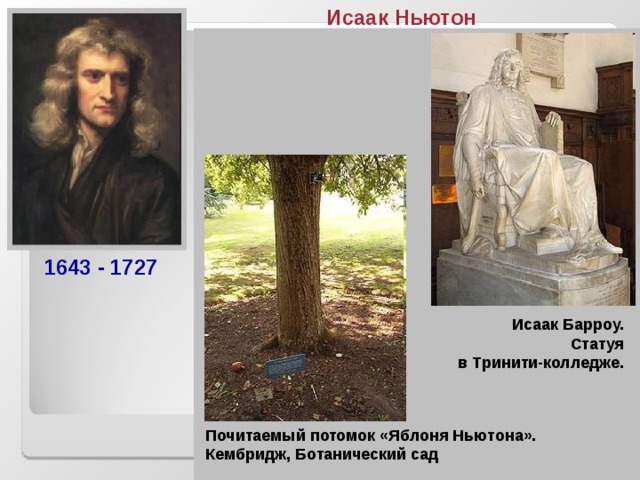 Исаак Ньютон Английский физик и математик. Создал современную механику (законы Ньютона)и открыл закон всемирного тяготения. В его главном сочинении «Математические начала натуральной философии» дал математический вывод основных фактов движении небесных тел. Один из создателей дифференциального и интегрального исчисления. 1643 - 1727 1643 - 1727 «Когда величина является максимальной или минимальной, в этот момент она не течёт ни вперёд, ни назад…» Исаак Барроу.  Статуя в Тринити-колледже.  Почитаемый потомок «Яблоня Ньютона». Кембридж, Ботанический сад И.НЬЮТОН 