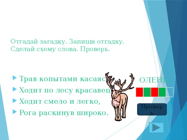 Отгадай загадку. Запиши отгадку.  Сделай схему слова. Проверь. Трав копытами касаясь, Ходит по лесу красавец, Ходит смело и легко, Рога раскинув широко. ОЛЕНЬ Проверь 