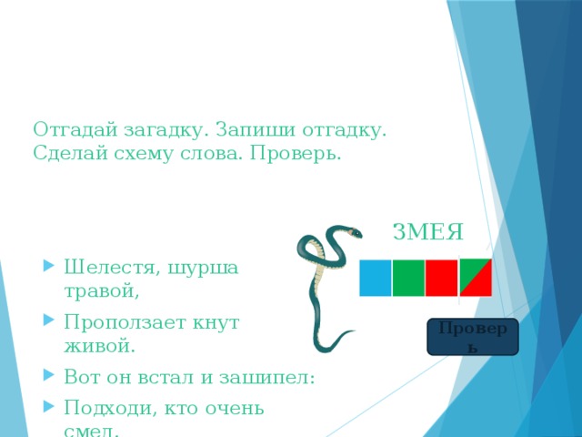 Отгадай загадку. Запиши отгадку.  Сделай схему слова. Проверь. ЗМЕЯ Шелестя, шурша травой, Проползает кнут живой. Вот он встал и зашипел: Подходи, кто очень смел. Проверь 