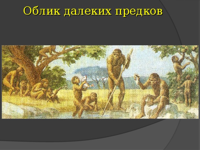 Облик далеких предков 